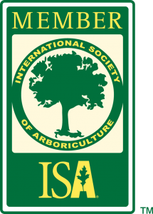 ISA Member Badge