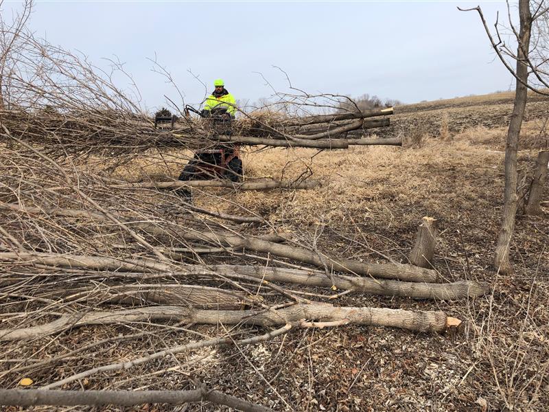lot clearing services near chaska minnesota
