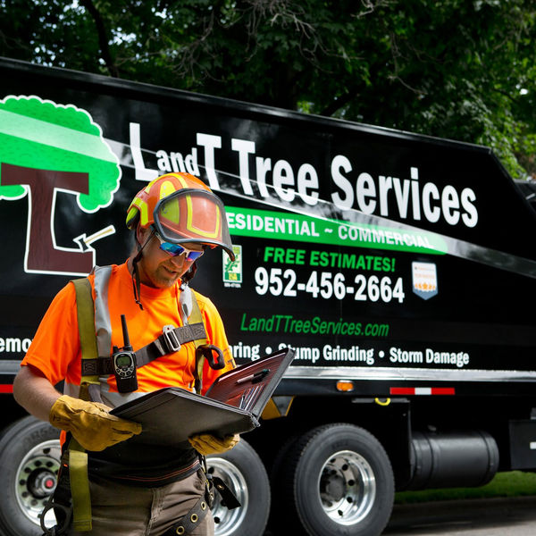 L and T Tree Services