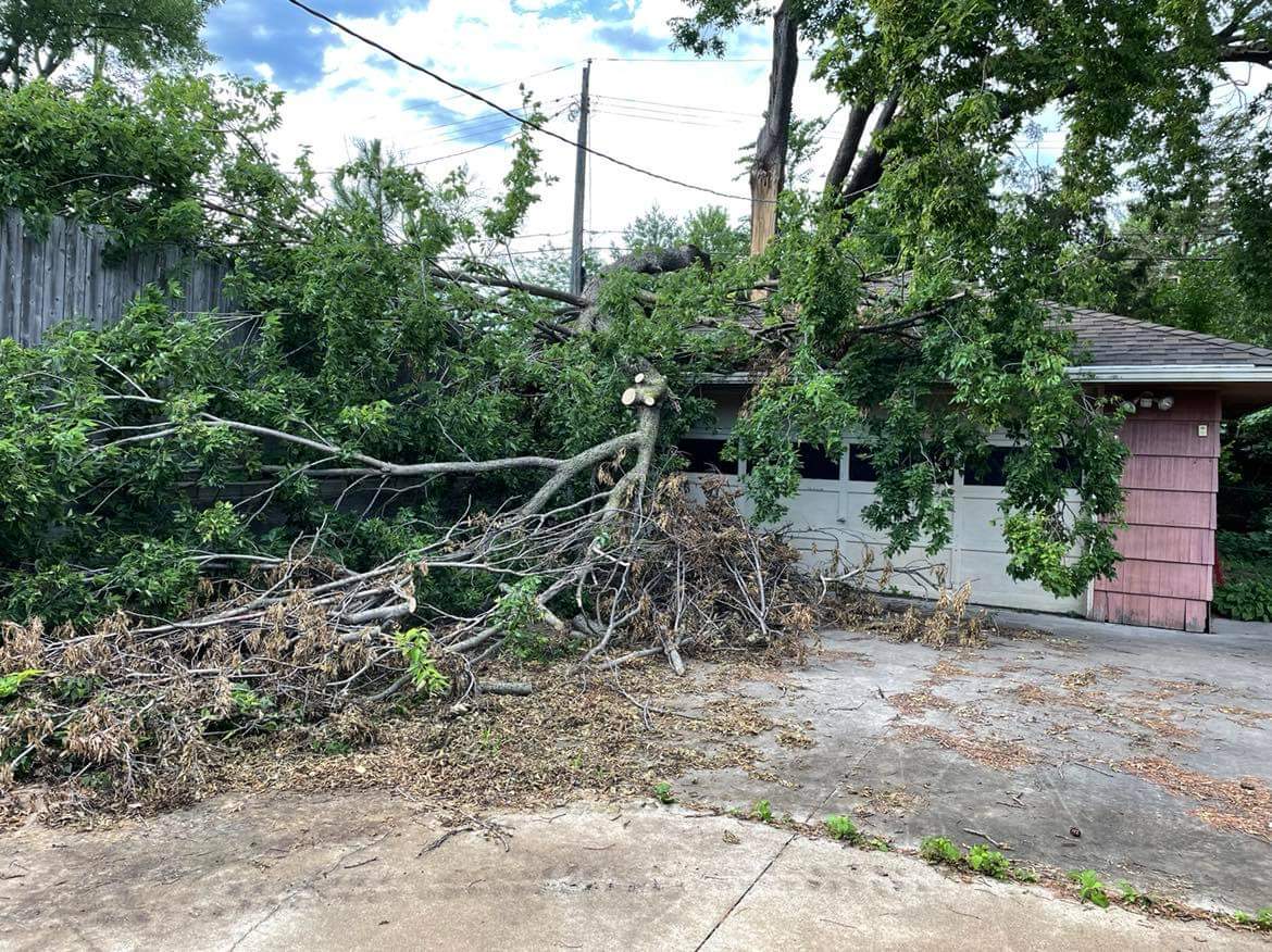 294610594_5452634771529138_6685646064896123747_n fallen tree on shed