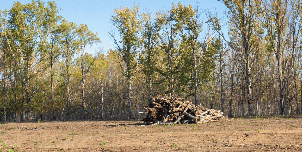 Cleared lot in Chaska Minnesota